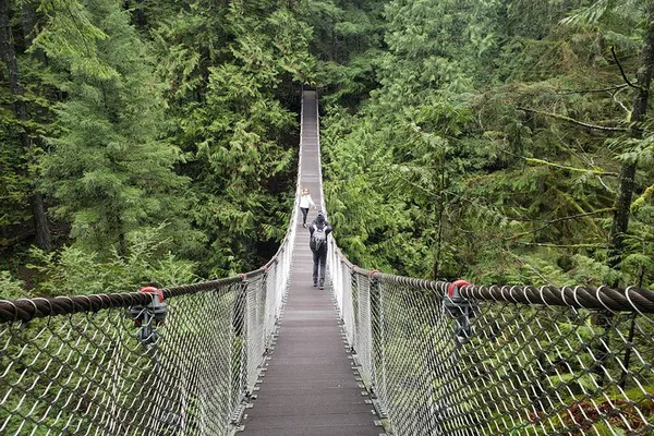 Vancouver: Rainforest Photography Tour & Suspension Bridge