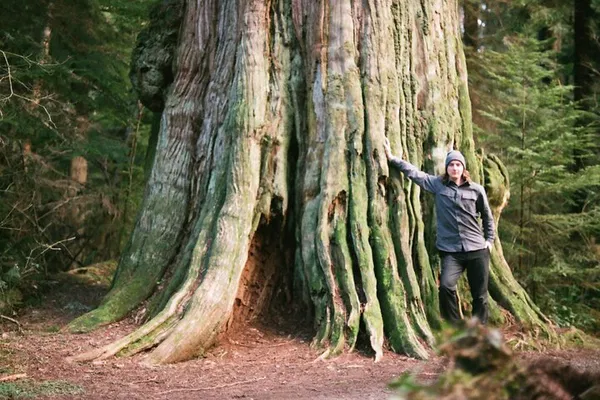 Vancouver's Ancient Forest: Stanley Park Walking Tour