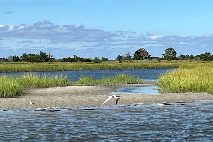 img0