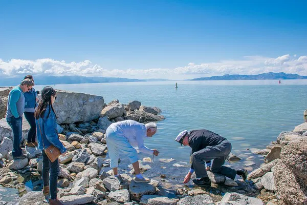 Uncover Great Salt Lake's Secrets: A Guided Bus Adventure