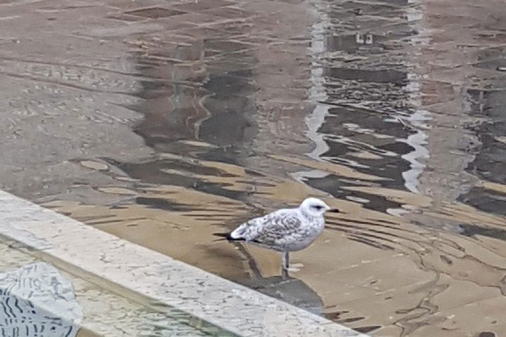 Experience Image img2