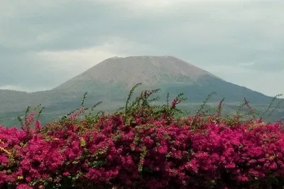 Uncover Pompeii & Vesuvius: A Luxurious Roman Holiday