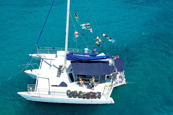 Waikiki Turtle Snorkeling & Sailing Tour