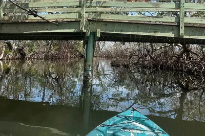 E.G. Simmons Park Kayak Tour: Mangrove Tunnel Adventure!