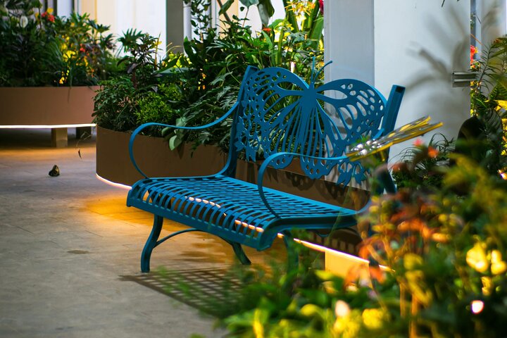 Experience Image img3