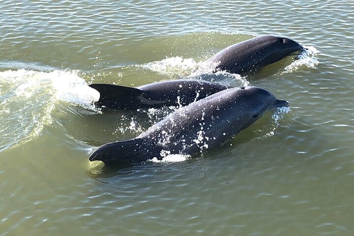 Experience Image img2