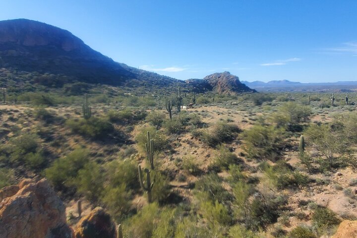 Experience Image img3