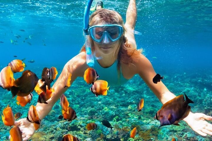 Experience Image img2