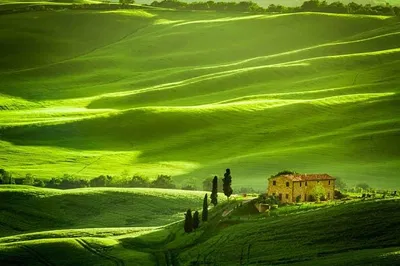 Escape Rome: Private Tuscany Wine Tour in Luxury
