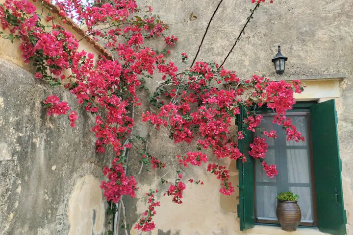 img0