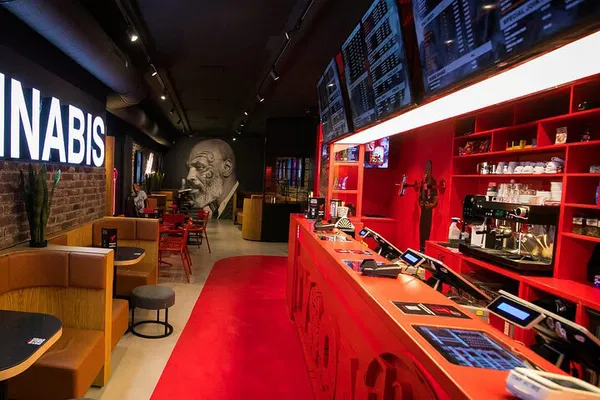 Amsterdam's Urban Secrets: Blazing Trails Alternative Tour