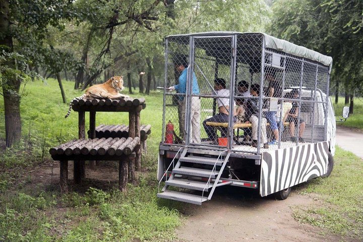 Experience Image img3