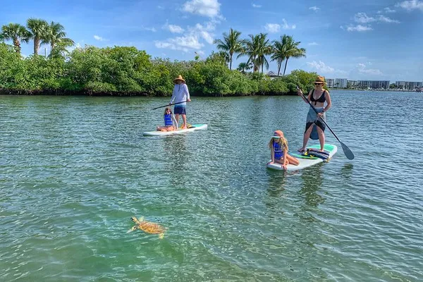 Jupiter's Aquatic Wonders: Paddle Boarding Eco-Adventure on Singer Island