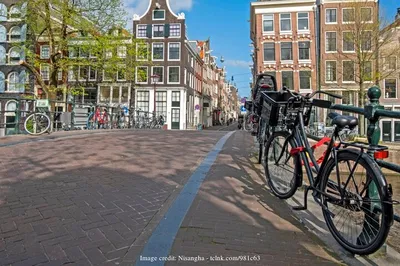 Unlock Amsterdam: A Private Full-Day Cultural Immersion with Canal Cruise