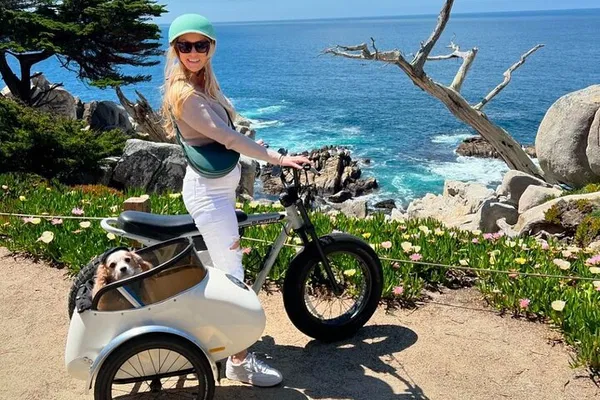 Carmel: Dog-Friendly E-Bike Sidecar Tour