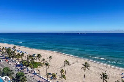 Miami's Marvels: A Chauffeur-Driven Exploration of Culture & Beauty