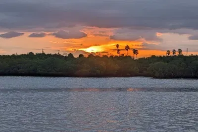 Sunset Boat Tour: Treasure Coast Wildlife Adventure