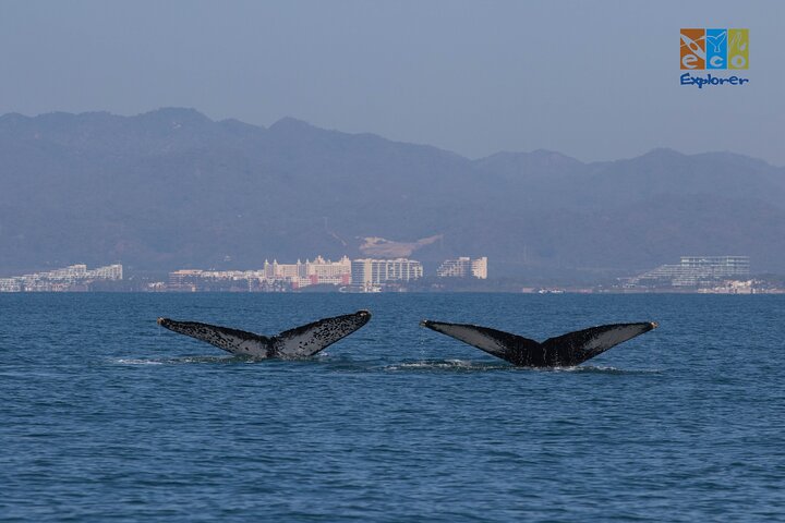 Experience Image img3