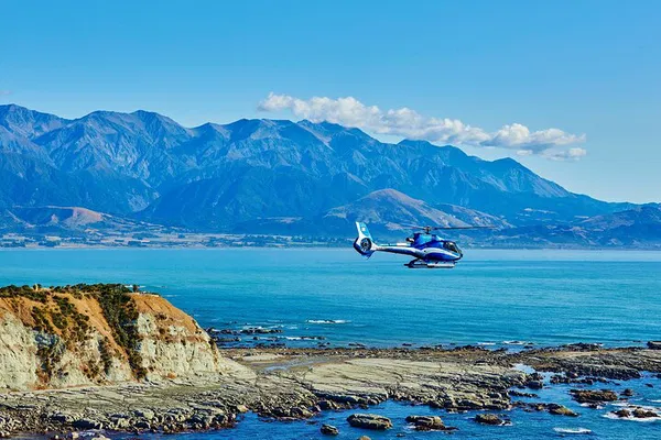 Kaikoura's Ultimate Whale & Earthquake Encounter by Air