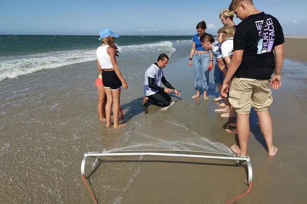 Uncover Zeeland's Coastal Secrets: A Beach Safari Adventure