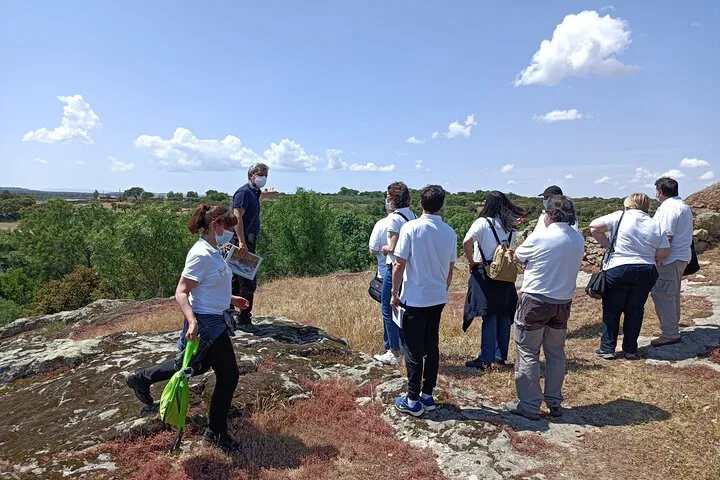img0