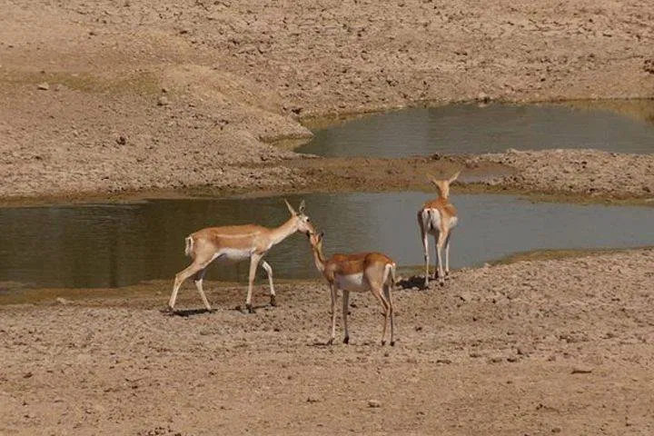 img0