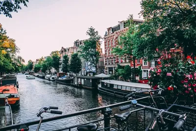 Amsterdam Insta-Worthy Photo Tour: Self-Guided Adventure