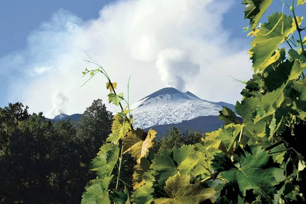 Etna & Wine: Volcanic Views & Sicilian Flavors Await!