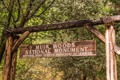 Unforgettable San Francisco Private Tour: Golden Gate, Sausalito & Muir Woods!