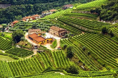 Uncork the Veneto: A Private Valpolicella Wine Escape from Verona