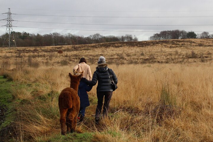 Experience Image img3