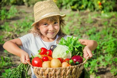 Amalfi Coast Cooking Class: Farm Tour & Feast!