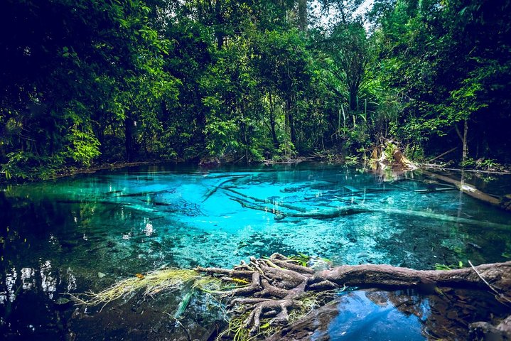 Krabi's Trio of Wonders: Emerald Pool, Hot Springs & Tiger Temple Adventure