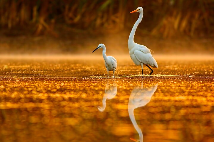 Experience Image img1