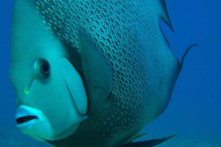 Experience Image img4