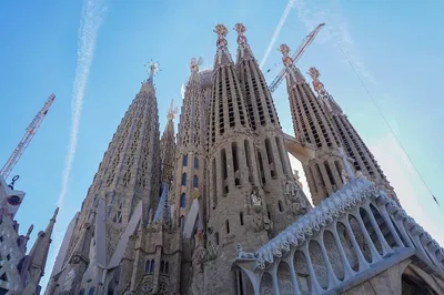 Sagrada Familia: Fast Track Tour & Towers Access