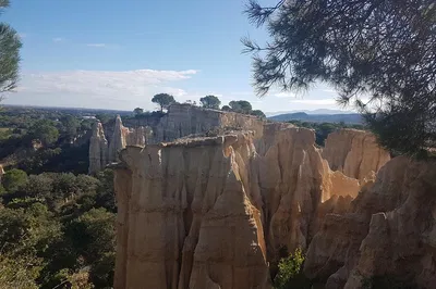 Unearth Black Diamonds: Truffle Hunting & Nature Walk in Perpignan