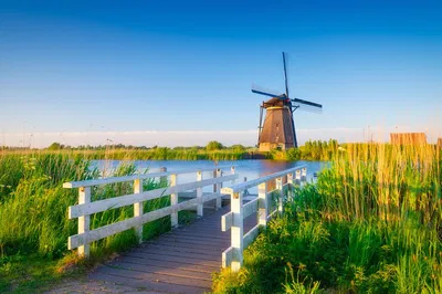 Door-to-Door Amsterdam to Kinderdijk Private Transfer