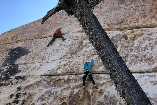 Conquer Joshua Tree: Beginner Rock Climbing Adventure!