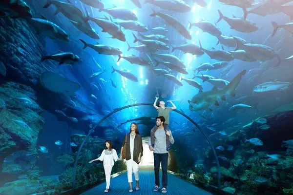 Dive into Wonder: Dubai Mall Aquarium & Underwater Zoo Adventure