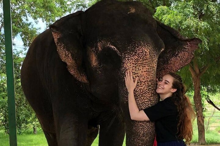 Experience Image img3