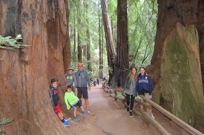 Unlock San Francisco's Treasures: A Personalized Private Tour