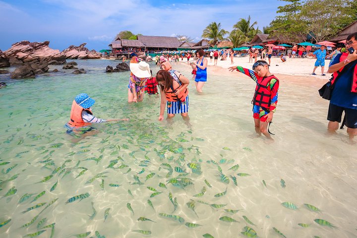 Phuket's Khai Islands: A Speedboat Adventure to Paradise!