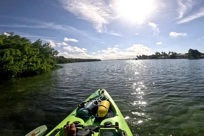 Glide Through Sarasota's Waters: Pedal Kayak Adventure on Lido Key