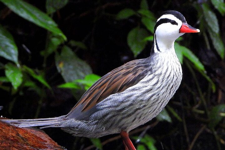 Experience Image img2