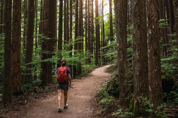 Hike Through History: Magome-Tsumago Trail Adventure