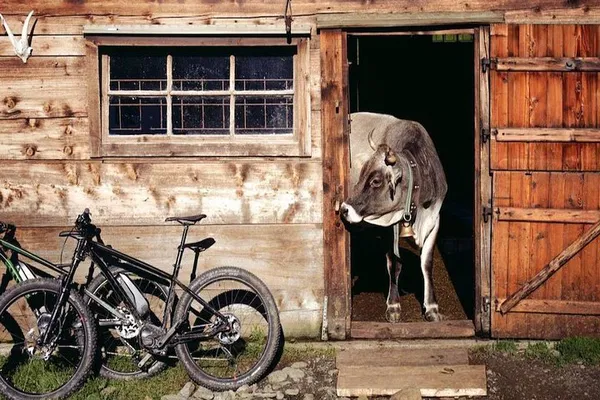 Sorrento E-Bike Tour: Food, Wine & Countryside