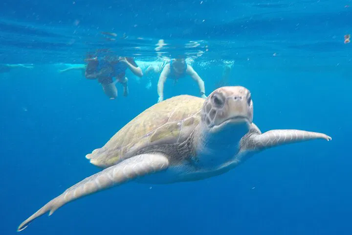 img0