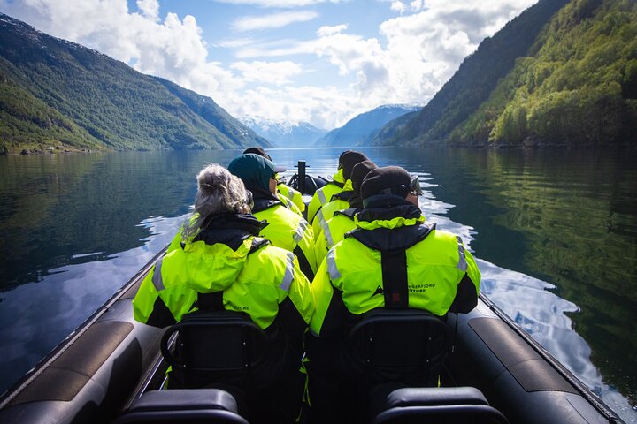 Hardangerfjord RIB Boat Tour: Ulvik Adventure