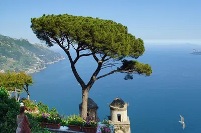 Unveiling Italy's Treasures: Pompeii, Ravello & Amalfi Guided Tour